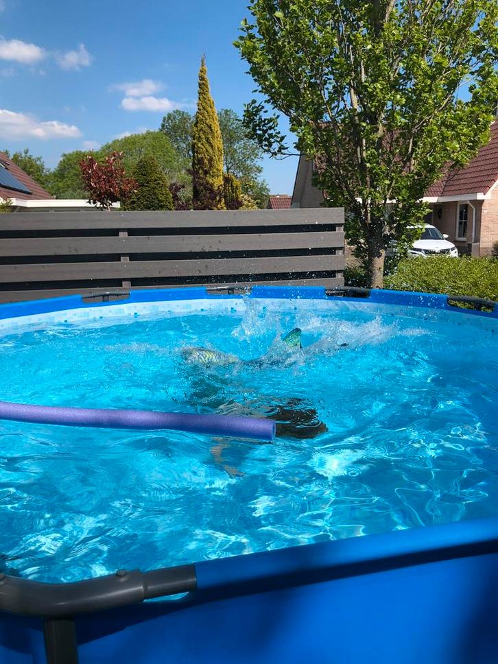 Steelpro max zwembad 366x122 cm, Tuin en Terras, Zwembaden, Gebruikt, Opzetzwembad, 120 cm of meer, 200 tot 400 cm, 300 cm of meer