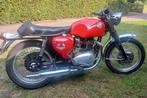 Bsa a65 spitfire 1968, Motoren, 2 cilinders, Sport