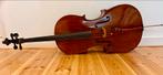 Antieke cello begin 20ste eeuw met stok en hoes, Muziek en Instrumenten, Strijkinstrumenten | Cello's, Ophalen, Gebruikt, 4/4-cello