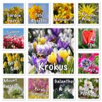 Biologische Bloembollen krokus tulpen narcissen allium, Ophalen of Verzenden, Najaar, Volle zon, Bloembol