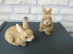 2 snoezige haasjes, Ophalen of Verzenden, Gebruikt
