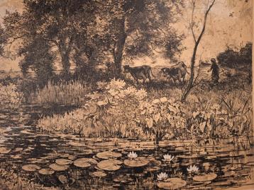 Litho Koeien Edzard Koning beschikbaar voor biedingen