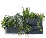 Wand Plantenbak, Verticale Tuin Set - Nieuw, Tuin, Kunststof, Minder dan 30 cm, Minder dan 60 cm