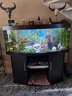 Aquarium juwel 450 panorama  Compleet, Dieren en Toebehoren, Vissen | Aquaria en Toebehoren, Ophalen, Gebruikt, Gevuld zoetwateraquarium
