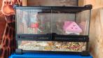 Terrarium with or without mice, Ophalen, Zo goed als nieuw