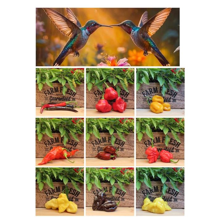 Diverse Peperzaden - Verschillende Soorten, Tuin en Terras, Planten | Tuinplanten, Eenjarig, Groenteplanten, Volle zon, Zomer