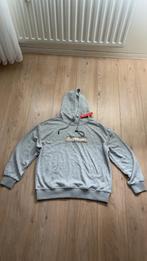 Supreme burberry trui hoodie grijs maat L ongedragen, Kleding | Heren, Truien en Vesten, Ophalen of Verzenden, Zo goed als nieuw