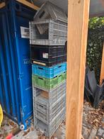 Stapel Kunststof Kratten 10 stuks, Doe-het-zelf en Verbouw, Kratten en Dozen, Gebruikt, 40 tot 60 cm, 50 tot 75 cm, Ophalen of Verzenden