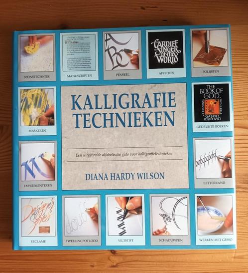 Boek 'Kalligrafietechnieken', Boeken, Hobby en Vrije tijd, Zo goed als nieuw, Overige onderwerpen, Ophalen of Verzenden