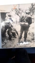 Press foto canadese in gevecht  ww 2, Verzenden, Landmacht, Nederland, Foto of Poster