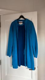 Jas blauw 54 Only Carmakoma suede look, Kleding | Dames, Blauw, Ophalen of Verzenden, Only Carmakoma, Jas of Mantel