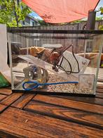 Aquarium met pompje en toebehoren, Dieren en Toebehoren, Vissen | Aquaria en Toebehoren, Ophalen, Leeg aquarium