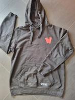 Walibi Hoody, Kleding | Heren, Ophalen of Verzenden, Gedragen, Maat 48/50 (M), Zwart