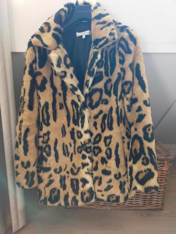 Nieuw Luipaard Jasje - Chic & Jeune beschikbaar voor biedingen