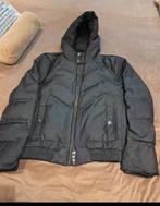 Versace Winterjas Heren, Kleding | Heren, Jassen | Winter, Maat 52/54 (L), Zwart, Ophalen of Verzenden, Zo goed als nieuw