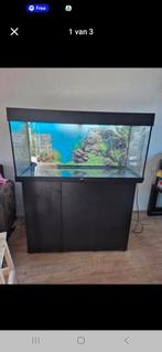 Juwel rio aquarium, Dieren en Toebehoren, Ophalen of Verzenden, Leeg aquarium