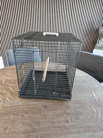 Reiskooi voor een vogel of papagaai.  beschikbaar voor biedingen