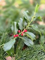 Hulst takken voor kerst, Diversen, Kerst, Ophalen