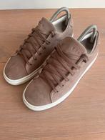 ongedragen ETQ LT 01 Court Lite mt 40 sneakers, Ophalen of Verzenden, Nieuw, Schoenen