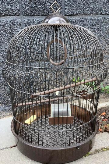 VOGELKOOI, MOOI MODEL! NU OPHALEN VOOR MAAR 10 EURO! beschikbaar voor biedingen