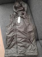 G-star bodywarmer/ gilet, maat S | NIEUW, Kleding | Dames, Bodywarmers, G-star, Ophalen of Verzenden, Nieuw, Maat 36 (S)