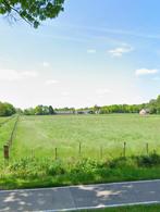 Weide voor shetlanders en A pony’s!, Dieren en Toebehoren, Weidegang, 4 paarden of pony's of meer