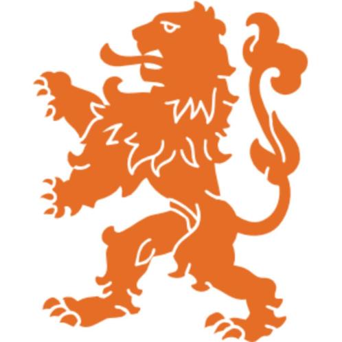 4 exclusieve VIP-tickets Nederland - Finland te koop!, Tickets en Kaartjes, Sport | Voetbal, Drie personen of meer, Oktober, Overige typen