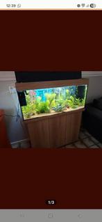 Aquarium Juwel 180 liter, Dieren en Toebehoren, Vissen | Aquaria en Toebehoren, Ophalen, Zo goed als nieuw, Leeg aquarium