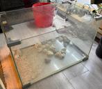 Mooi aquarium dikke kwaliteit glas, Ophalen, Zo goed als nieuw, Leeg aquarium