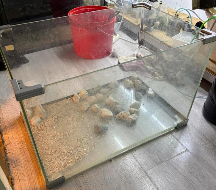 Mooi aquarium dikke kwaliteit glas, Dieren en Toebehoren, Vissen | Aquaria en Toebehoren, Zo goed als nieuw, Leeg aquarium, Ophalen