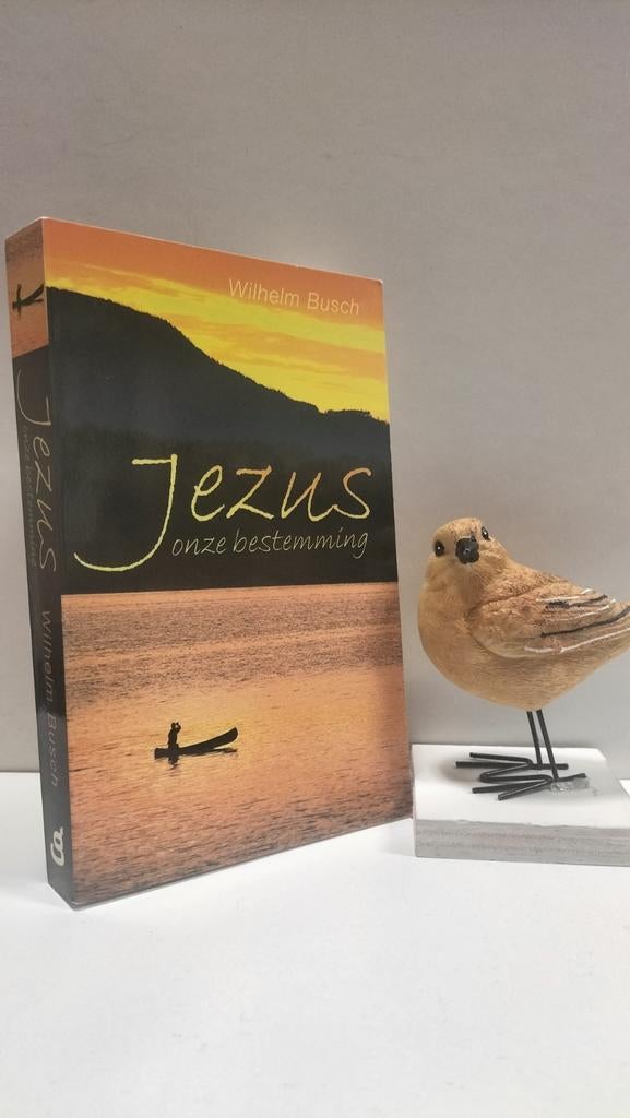 Busch, Wilhelm; Jezus onze bestemming, Ophalen of Verzenden, Gelezen, Christendom | Protestants