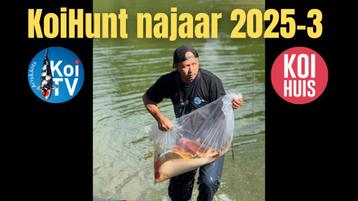 koi koihunt video Japan GRATIS beschikbaar voor biedingen
