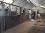 Stalling/weidegang aangeboden voor D/E pony Ermelo, Dieren en Toebehoren, Stalling en Weidegang, Weidegang