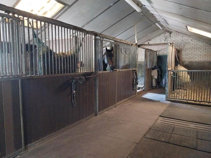 Stalling/weidegang aangeboden voor D/E pony Ermelo, Dieren en Toebehoren, Stalling en Weidegang, Stalling, Weidegang