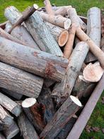 Droog wilgenhout, vuurkorf, brandhout, kachelhout, Tuin en Terras, Haardhout, Minder dan 3 m³, Ophalen