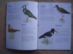 In vogelvlucht weidevogels erfvogels, Verzenden, Zo goed als nieuw, Vogels