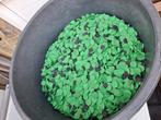Eco pond chips ongeveer 35 liter, Ophalen, Gebruikt, Overige typen