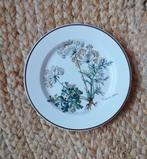 Vintage Villeroy & Boch Botanica bordje, Ophalen of Verzenden, Zo goed als nieuw, Bord(en), Overige stijlen