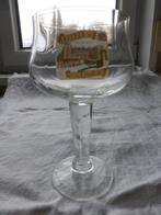 40 speciaal bier glazen, Ophalen of Verzenden, Zo goed als nieuw, Bierglas