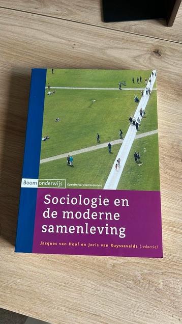 Sociologie en de moderne samenleving beschikbaar voor biedingen
