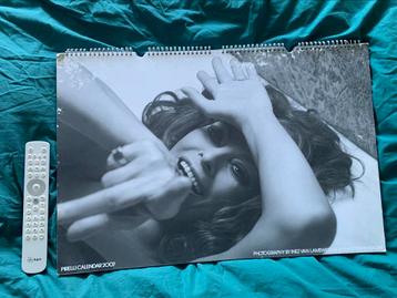 Pirelli kalender 2007 Penelope Cruz Hillary Swank NaomiWatts beschikbaar voor biedingen