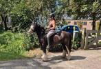 ZEER KNAPPE KINDERPONY!!!, Dieren en Toebehoren, Pony's, Merrie, C pony (1.27m tot 1.37m), Recreatiepony, 7 tot 10 jaar