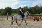 Super lieve kinderpony te koop – D-pony, Dieren en Toebehoren, Pony's, Ruin, D pony (1.37m tot 1.48m), Gechipt, 3 tot 6 jaar