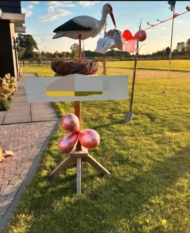 Ooievaar te huur, Kinderen en Baby's, Kraamcadeaus en Geboorteborden, Ophalen of Verzenden