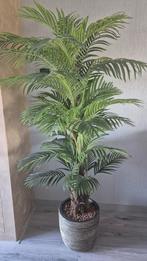 Grote kunst Arecapalm, prachtige kwaliteit incl pot, Ophalen, Zo goed als nieuw, Binnen