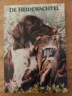 Alles over de Heidewachtel, Ophalen of Verzenden