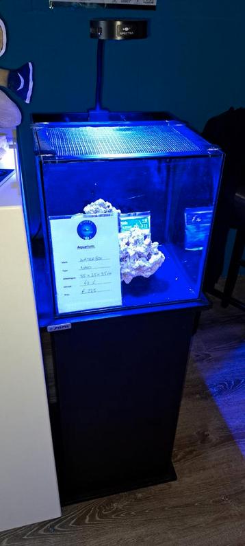 Waterbox nano zeeaquarium 42L beschikbaar voor biedingen