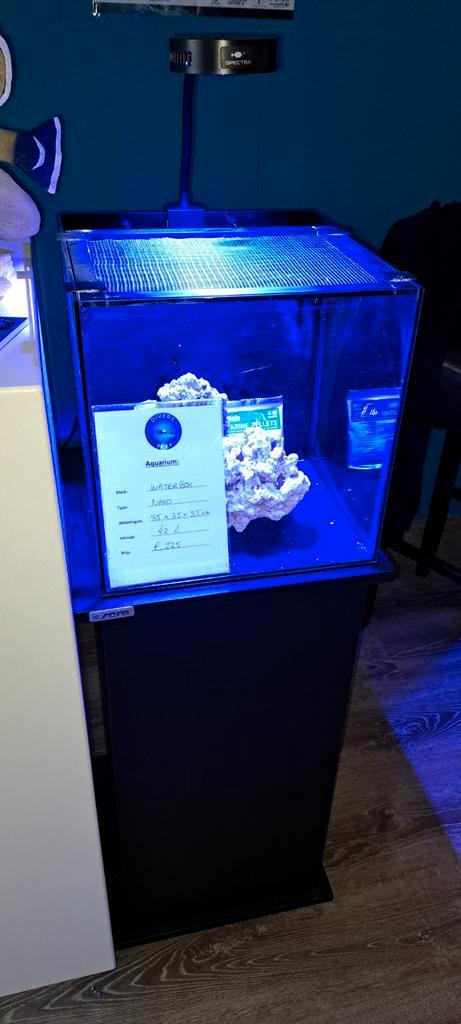 Waterbox nano zeeaquarium 42L, Dieren en Toebehoren, Vissen | Aquaria en Toebehoren, Gevuld zeewateraquarium, Ophalen