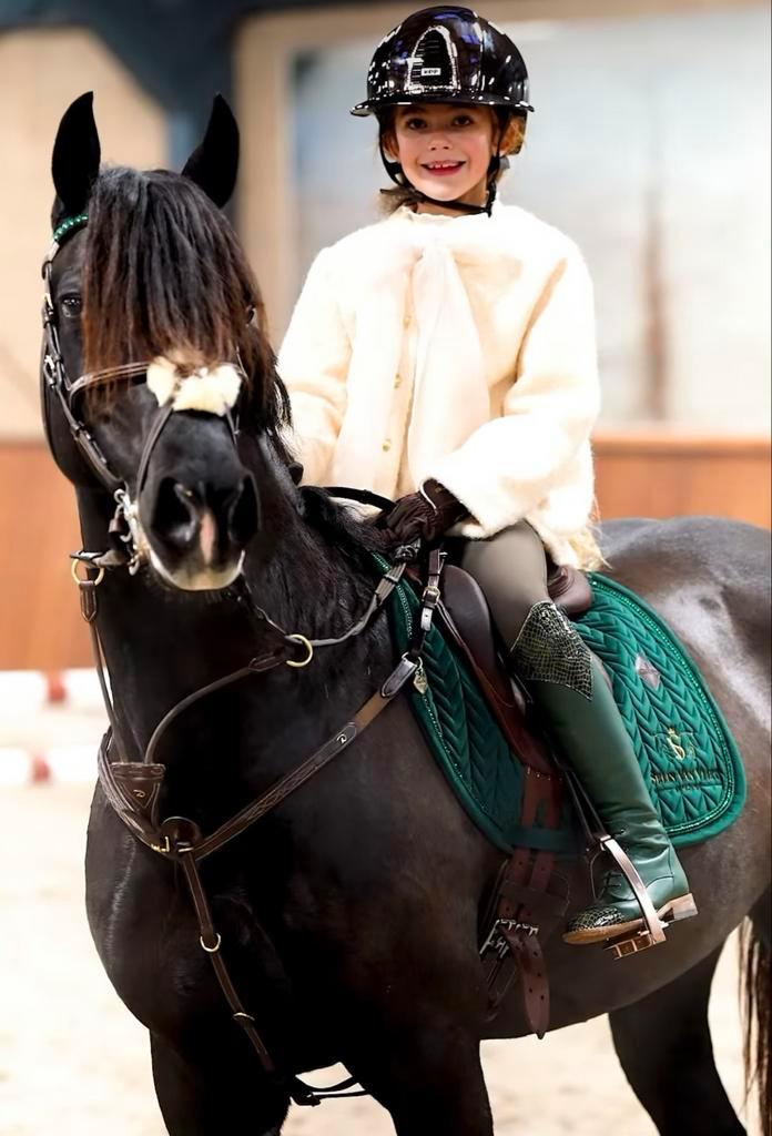 Springpony D te koop, Dieren en Toebehoren, Paarden, Merrie, Z, Minder dan 160 cm, 11 jaar of ouder, Springpaard, Met stamboom