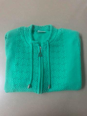 Esmay Exclusive groen vest L – gebreid met rits – sportief beschikbaar voor biedingen